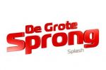 'De Grote Sprong' logo (VTM)
