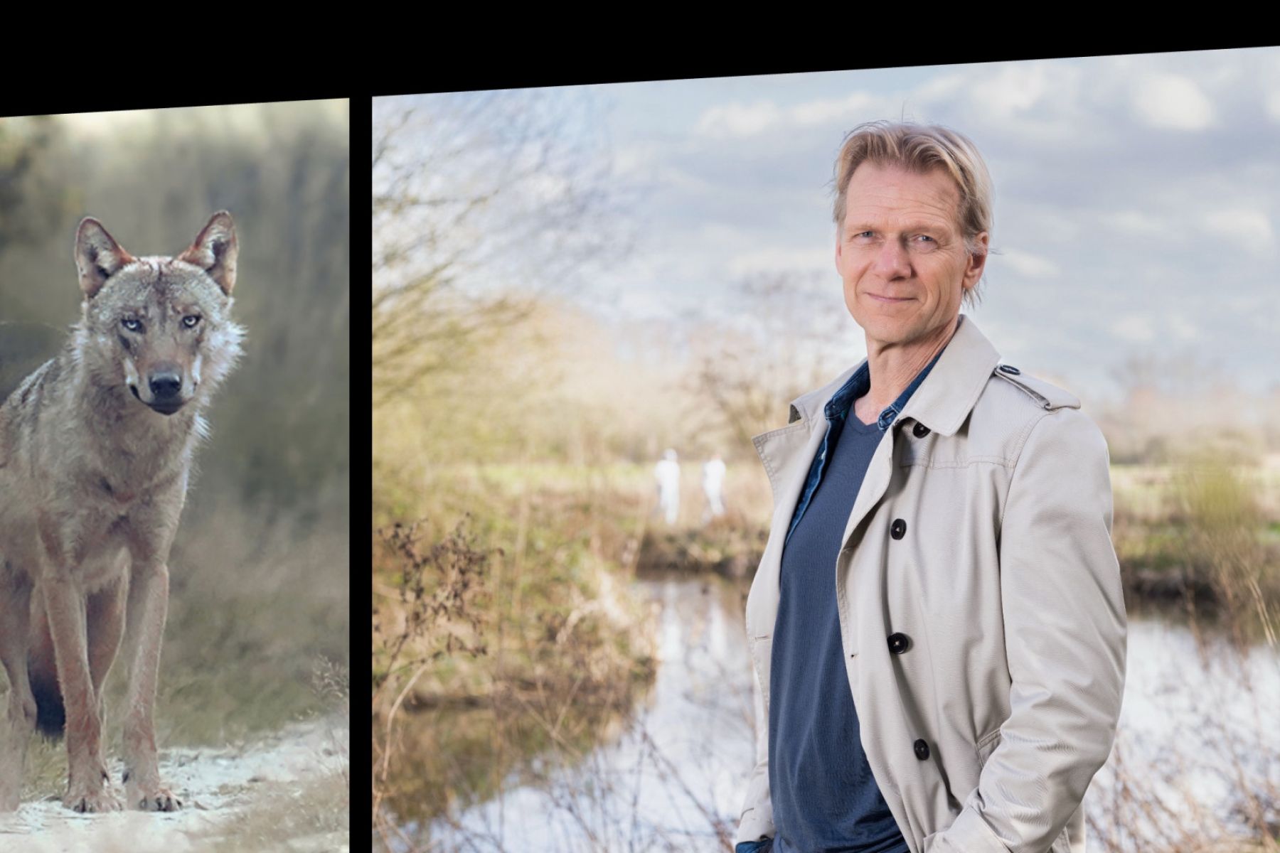 Menno Bentveld oog in oog met roedel wolven bij start nieuw seizoen 'Vroege Vogels'