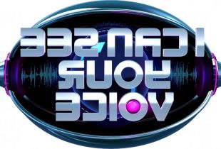 'I Can See Your Voice' (RTL 4)