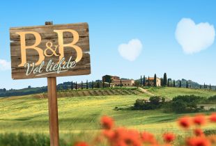 'B&B Vol Liefde' zomer 2025